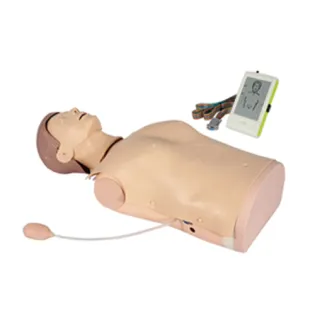 CPR Manikin